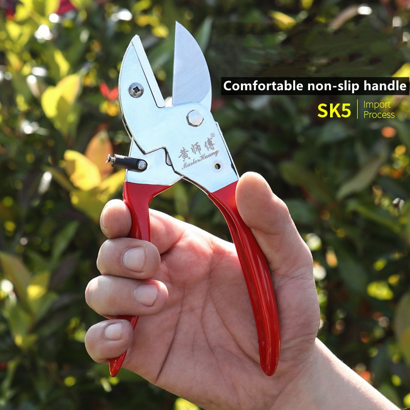 Bonsai Tool Set - SK5 Çelik Manuel Bahçe Budama Makası