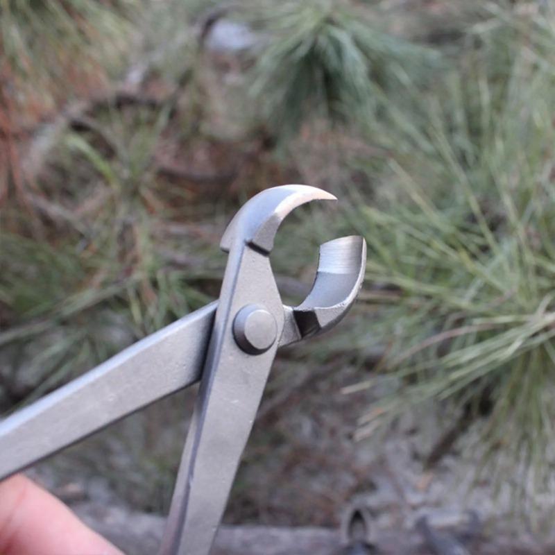 Bonsai Topuz Kesici İçbükey Ke - Bonsai Tool Set incelemesi ve fiyatı