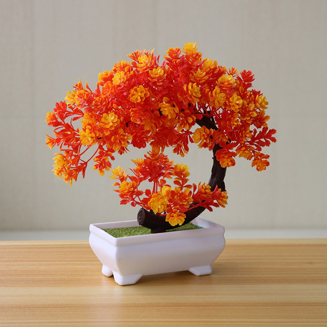 Plastik saksılı bonsai süsü, i - Bonsai Garden Table incelemesi ve fiyatı
