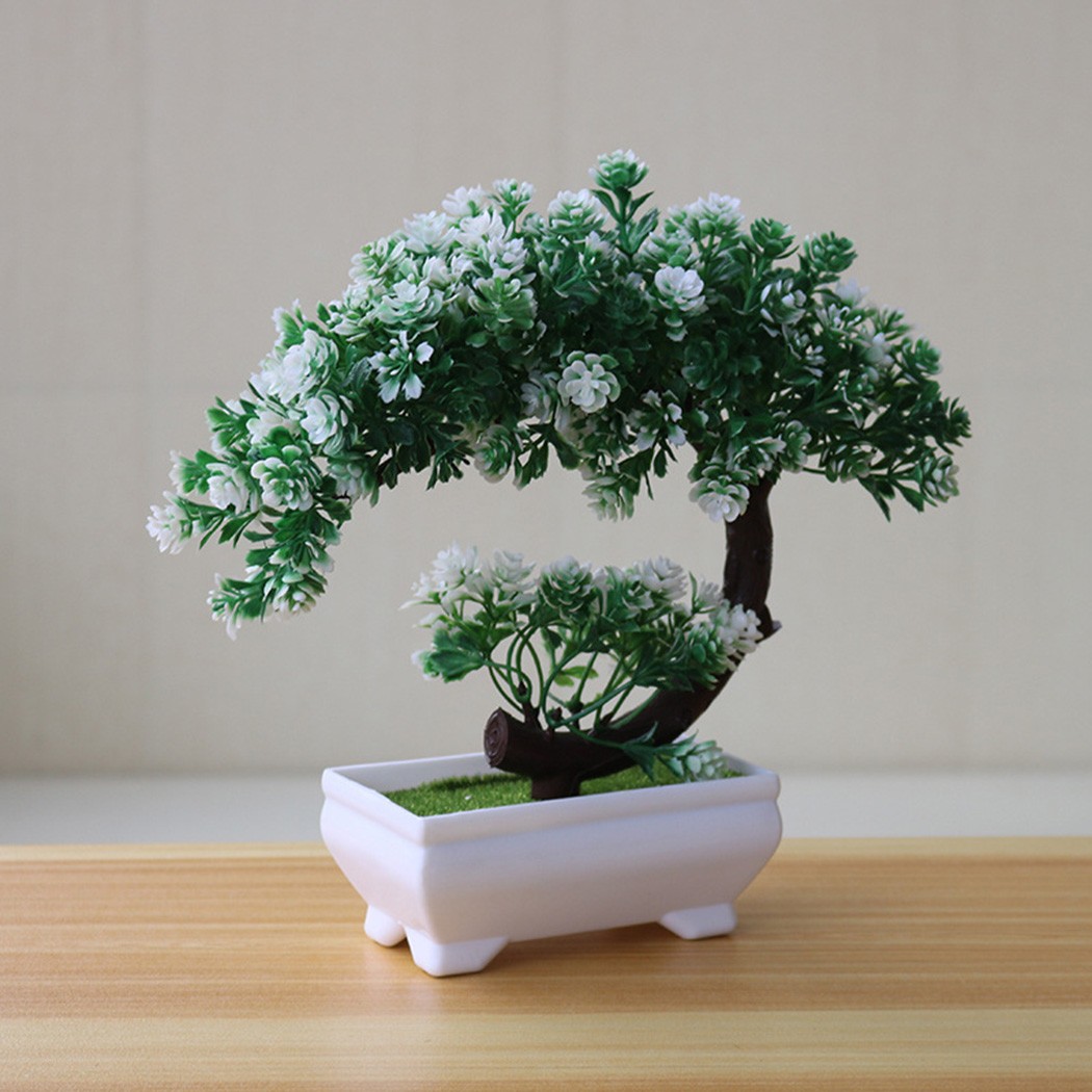Plastik saksılı bonsai süsü, i - Bonsai Garden Table incelemesi ve fiyatı