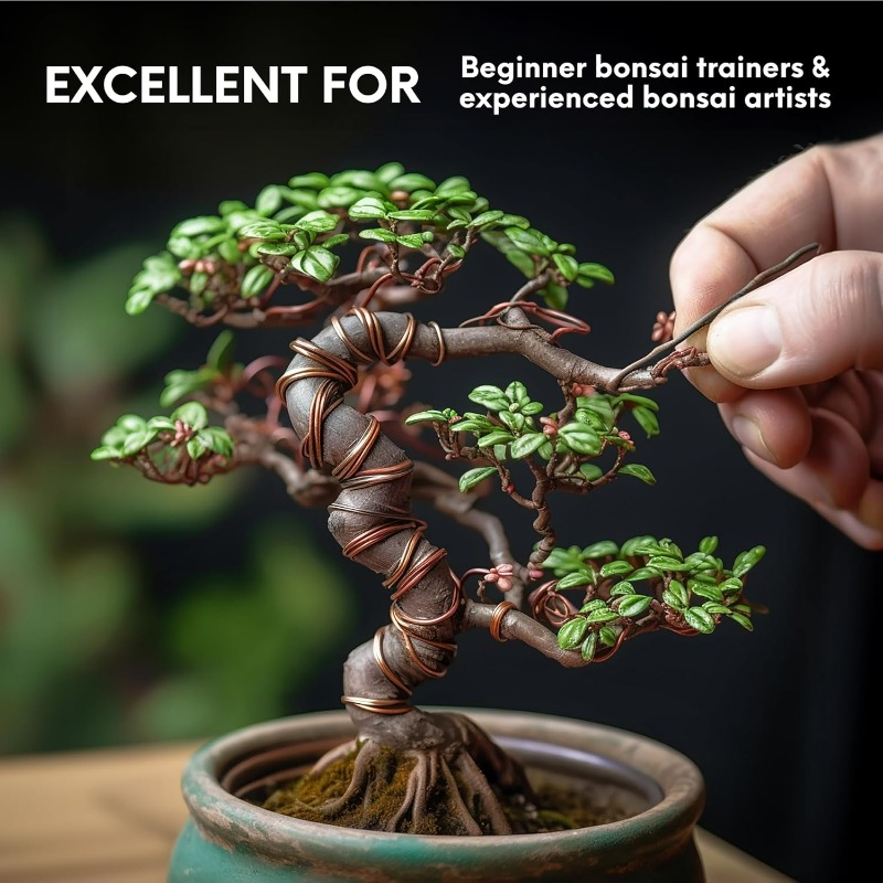 5 M Bonsai Eğitim Teli Seti, B - Bonsai Tool Set incelemesi ve fiyatı