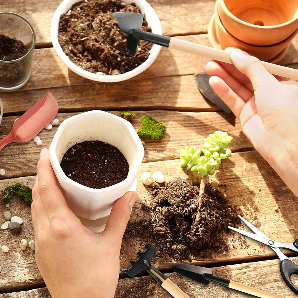 Etli Bitkiler Araçları Mini Ba - Bonsai Tool Set incelemesi ve fiyatı